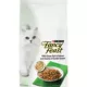Product Fancy Feast®  All Life Stages Cat Dry Food - , With Vitamins