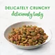 Product Fancy Feast®  All Life Stages Cat Dry Food - , With Vitamins