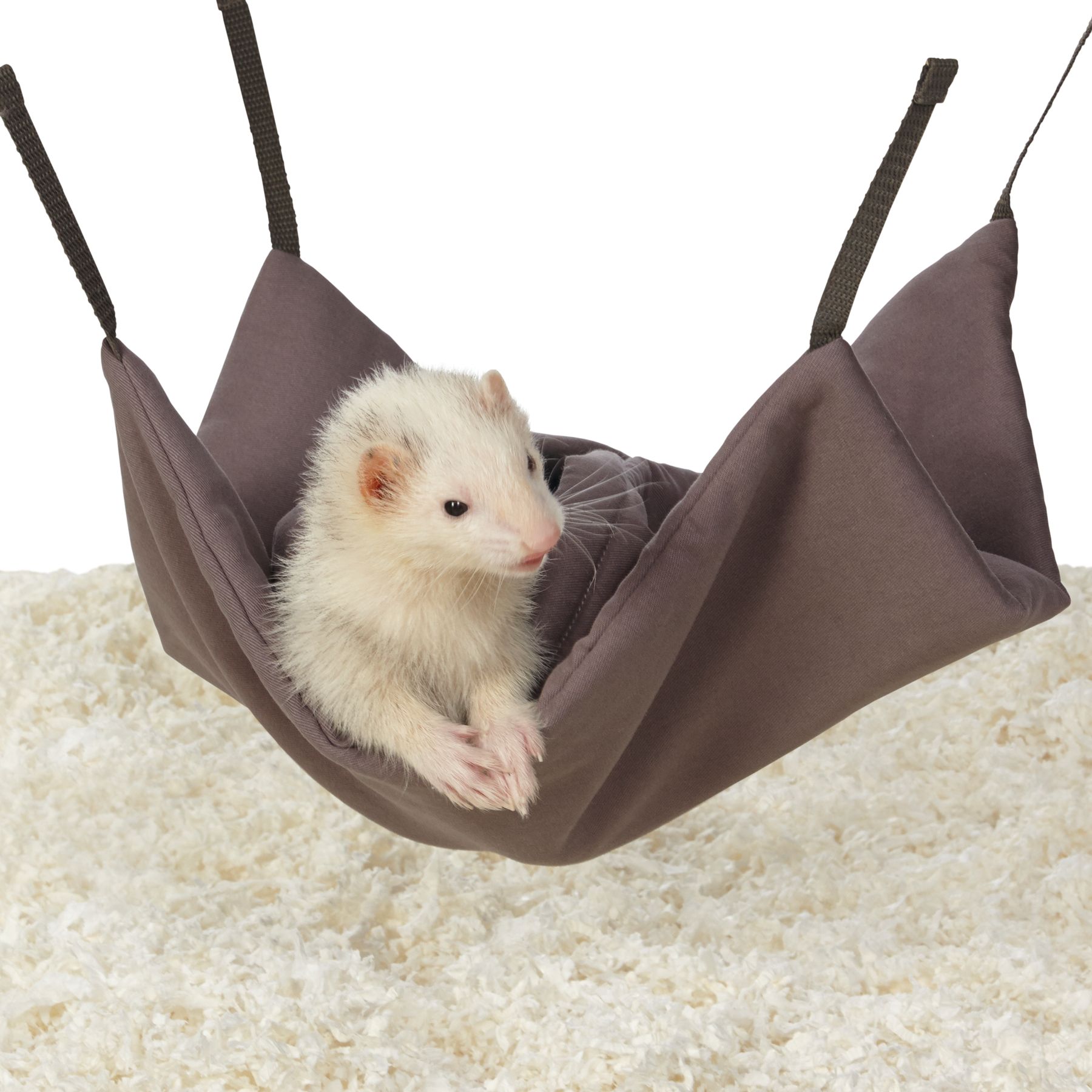 All Living Things® Ferret Snuggle Sack small pet Toys PetSmart