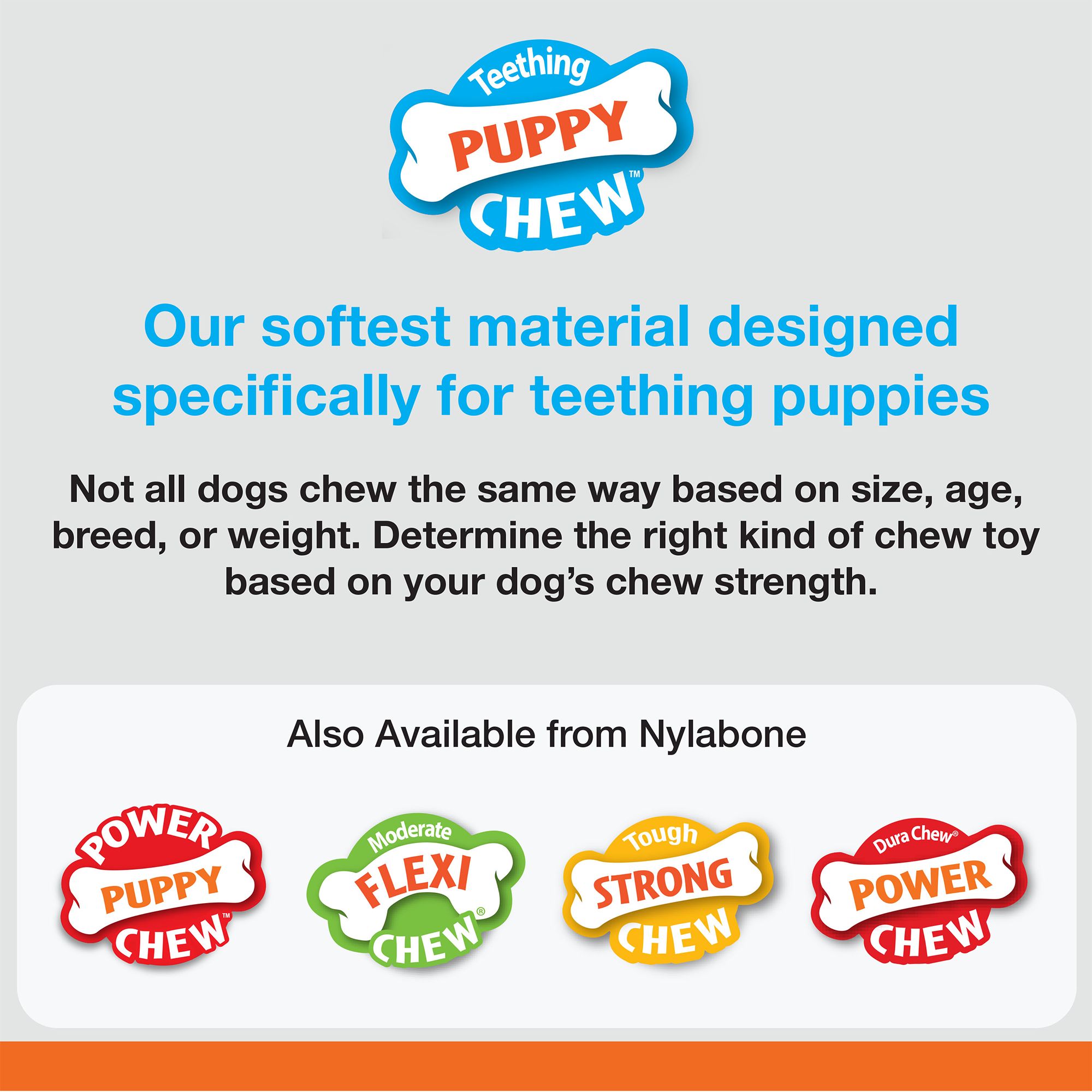 nylabone puppy ring bone