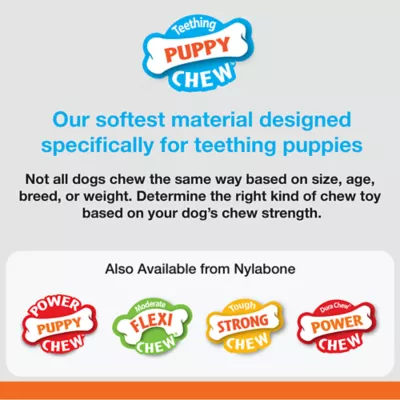 Product Nylabone® Puppy Ring Chew Dog Toy