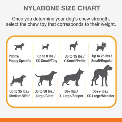 Product Nylabone® Puppy Ring Chew Dog Toy