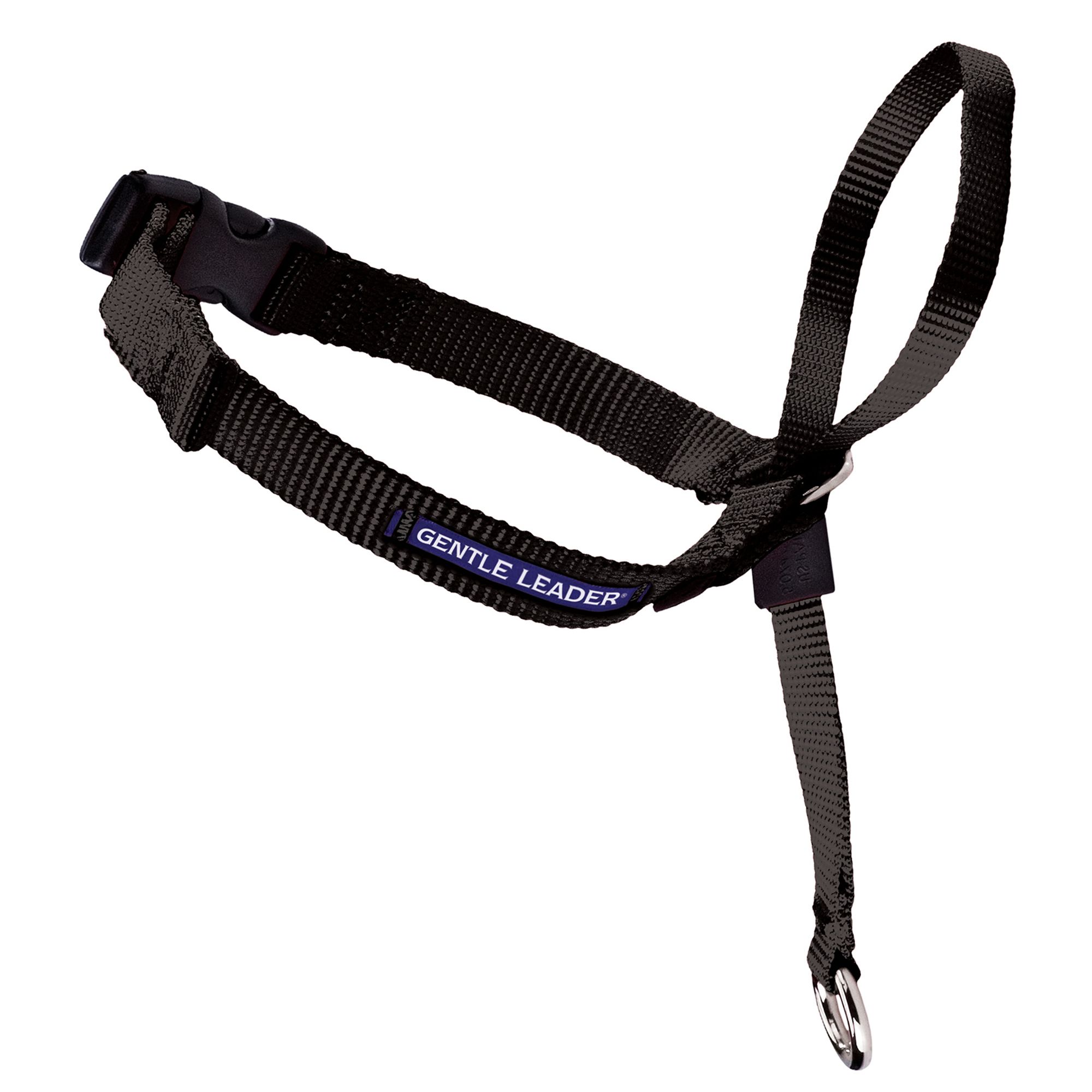 double dog leash petsmart