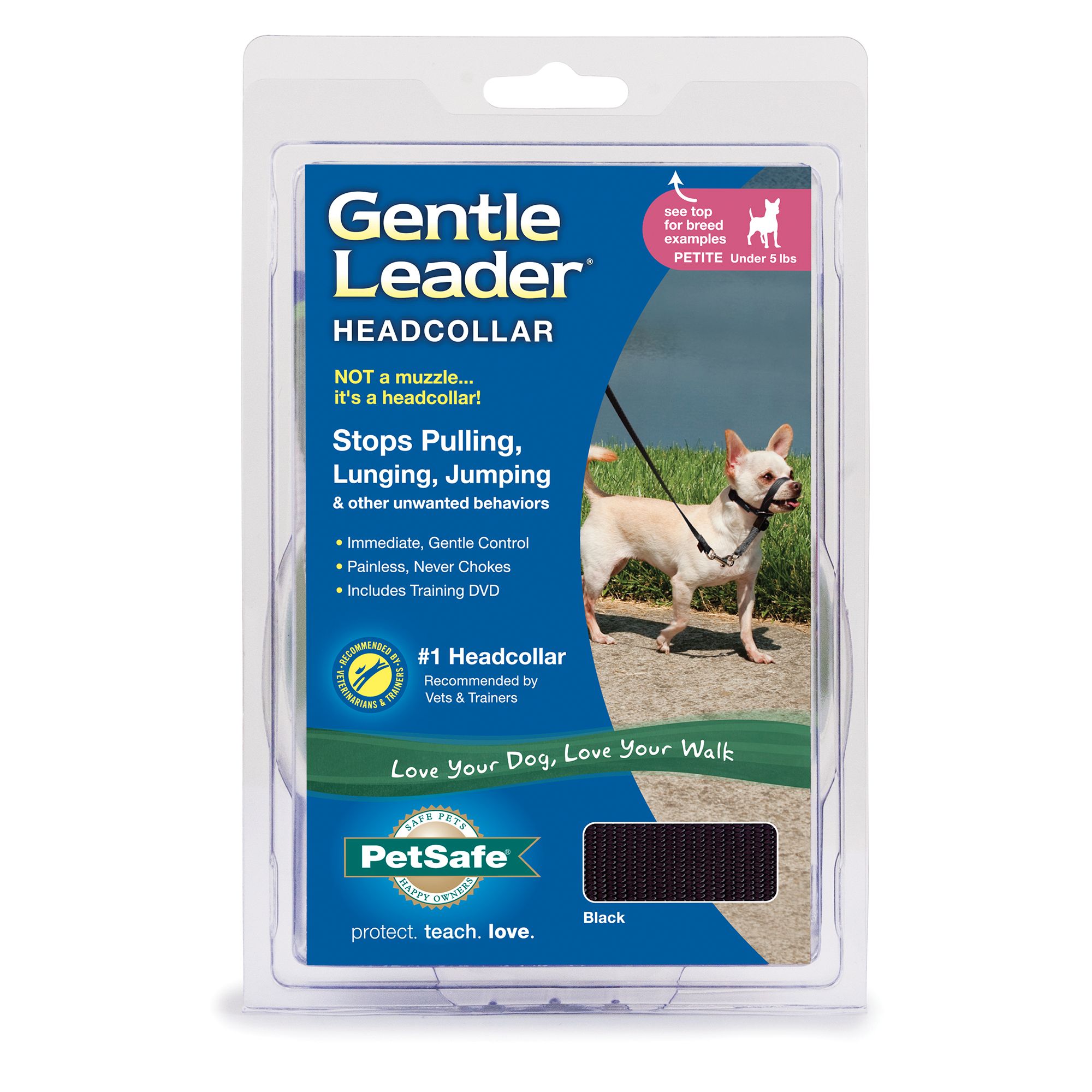 head collar petsmart