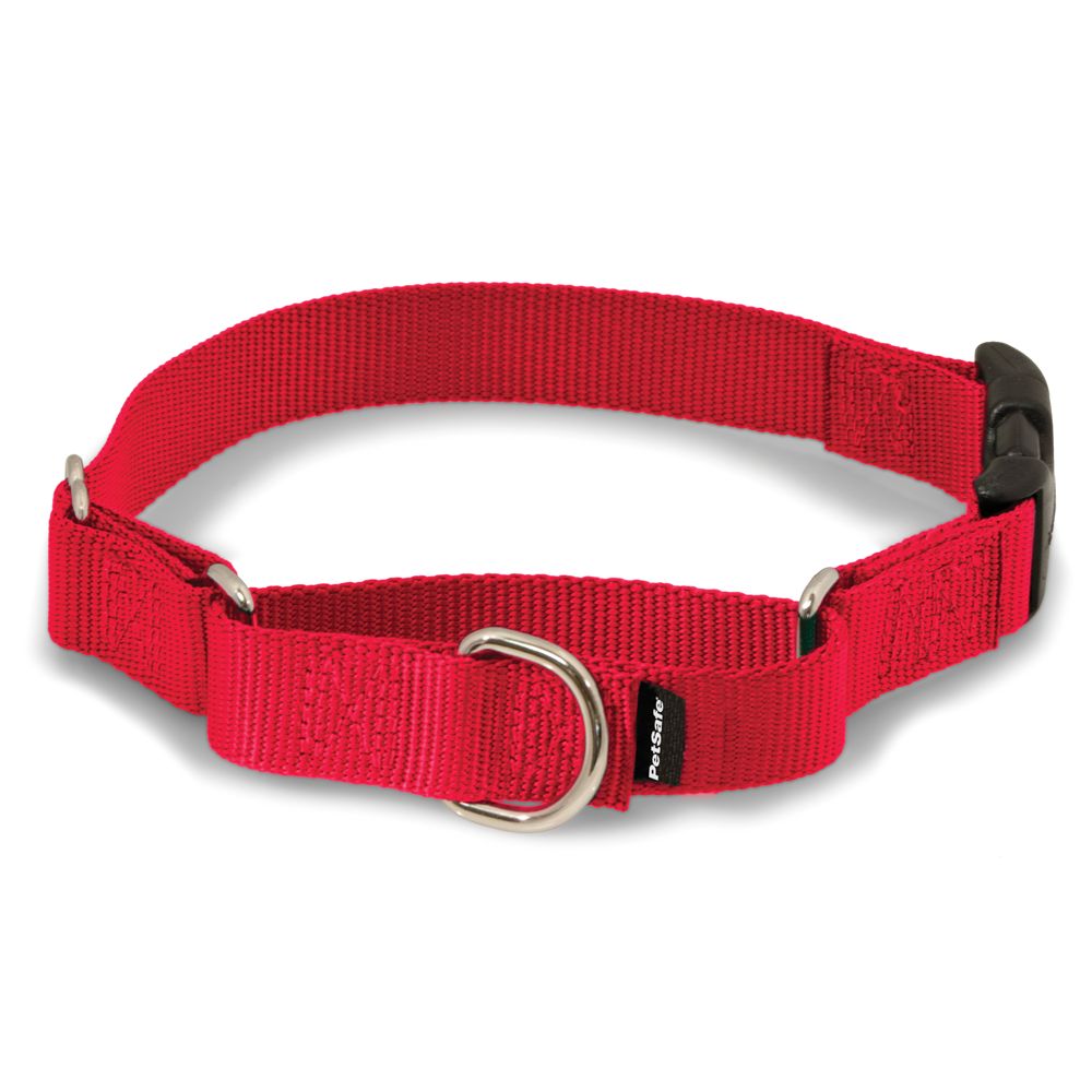 PetSafe® Slip-On Martingale Dog Collar | dog Collars | PetSmart