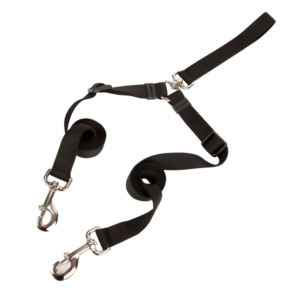 petsmart double leash