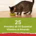 Purina® Cat Chow® Naturals All Life Stages Cat Dry Food - Chicken, Natural, No Artificial Flavors image thumbnail 3