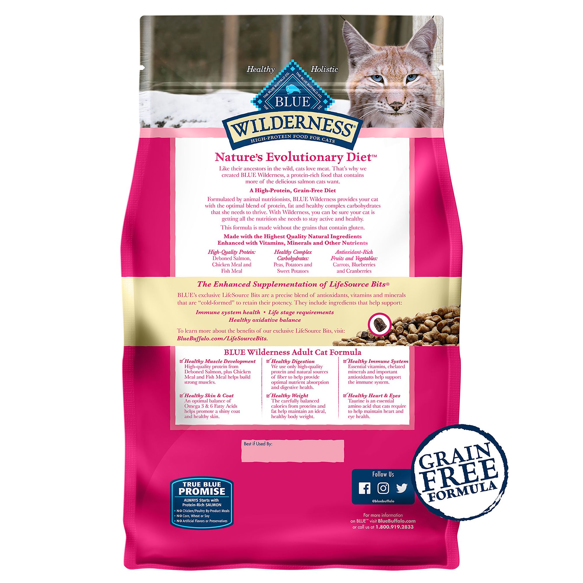 blue wilderness salmon cat food