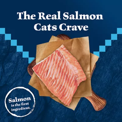 Product Blue Buffalo Wilderness Adult Dry Cat Food - Grain Free, Salmon