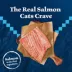 Blue Buffalo Wilderness Adult Dry Cat Food - Grain Free, Salmon image thumbnail 3