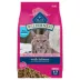 Blue Buffalo Wilderness Adult Dry Cat Food - Grain Free, Salmon image thumbnail 1