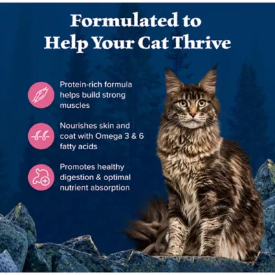 Product Blue Buffalo Wilderness Adult Dry Cat Food - Grain Free, Salmon