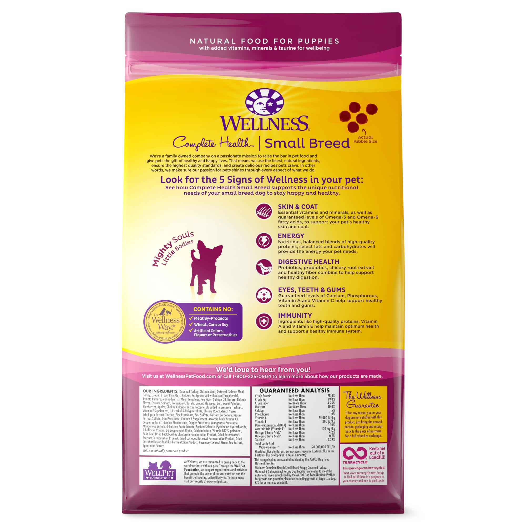 wellness puppy food