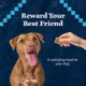 Product Blue Buffalo® Wilderness™ Trail Treats All Life Stages Dog Treats - Grain Free