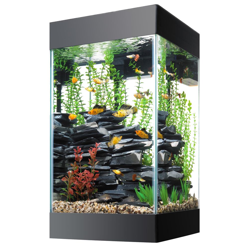 Aquariums, Fish Tank Supplies & Stands | PetSmart