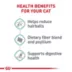 Royal Canin Feline Adult Dry Cat Food Care Nutrition, Hairball Care image thumbnail 4