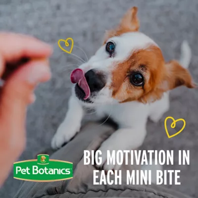 Product Pet Botanics Mini Training Rewards Dog Treats