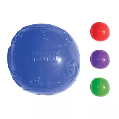 Petsmart squeaky ball best sale