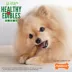 Nylabone® Healthy Edibles® Dog Treats - Variety Pack, Roast Beef & Chicken image thumbnail 7