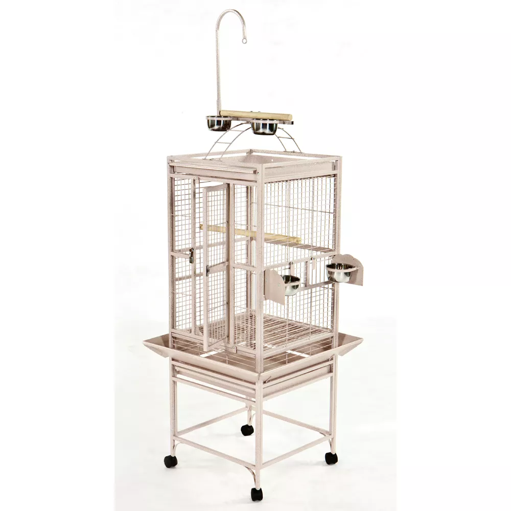 A&E Cage Company Play Top Bird Cage