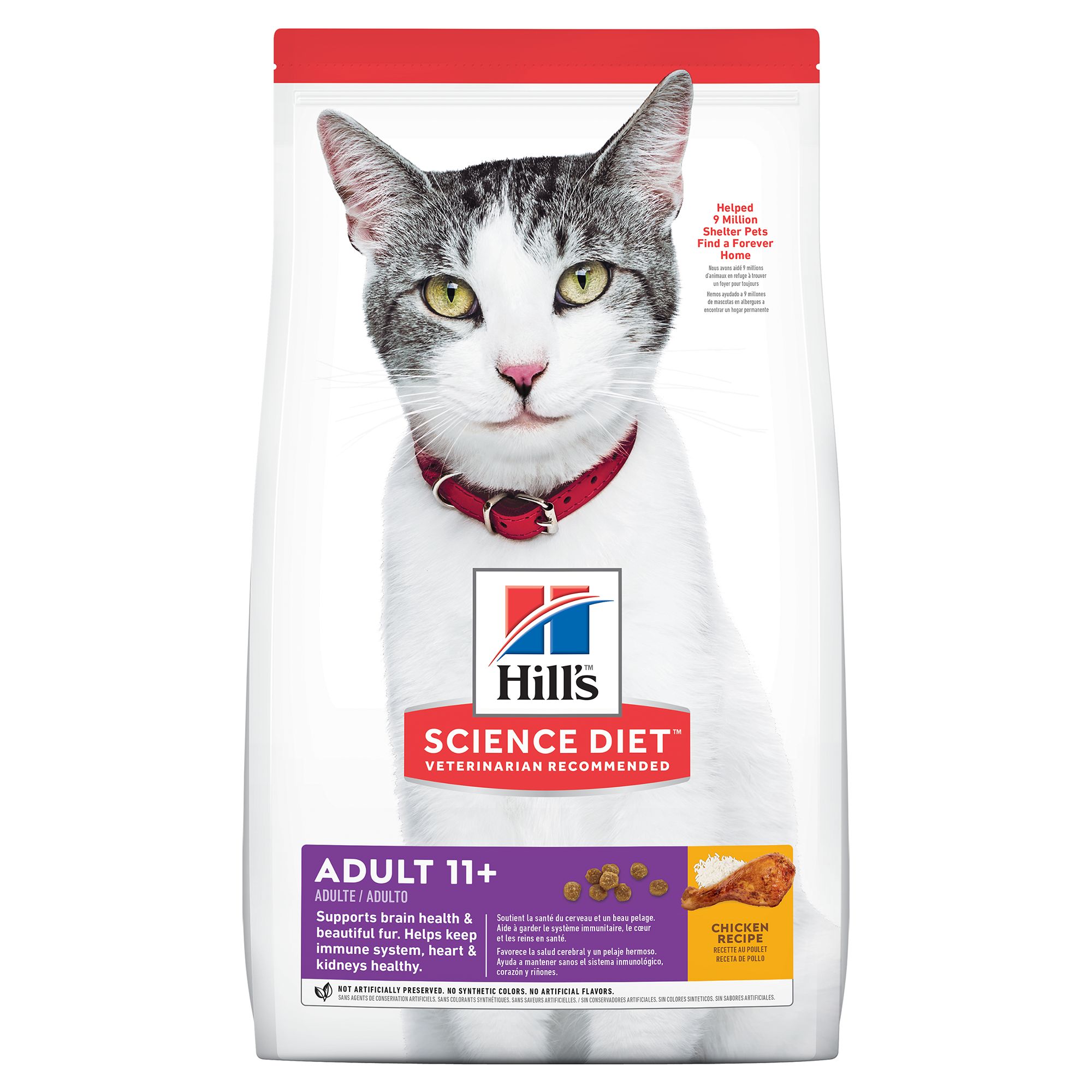 Geriatric on sale cat diet