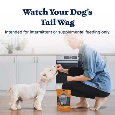 Blue Buffalo® Wilderness™ High Protein Dog Treats - Turkey - Image 9