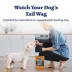 Blue Buffalo® Wilderness™ High Protein Dog Treats - Turkey image thumbnail 9