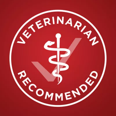 Product Purina ONE SmartBlend Advanced Nutrition Dog Food