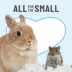 KAYTEE® Clean & Cozy™ Small Pet Bedding image thumbnail 6