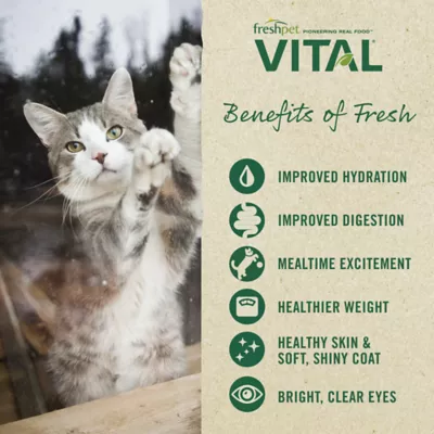 Product Freshpet® Vital Cat Food - Grain Free, Chicken & Chicken Liver, 1 LB