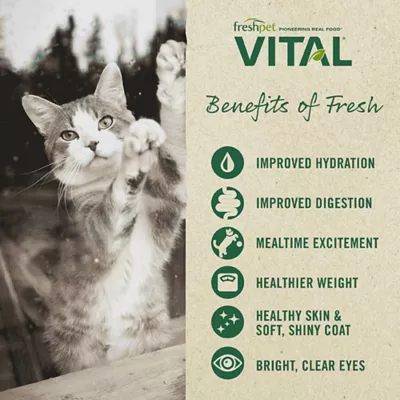 Product Freshpet® Vital Cat Food - Grain Free, Chicken & Chicken Liver, 1 LB
