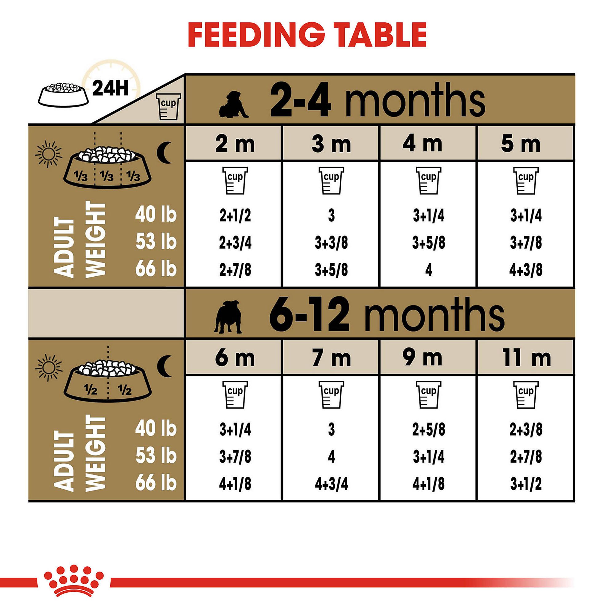 what do i feed my french bulldog puppy