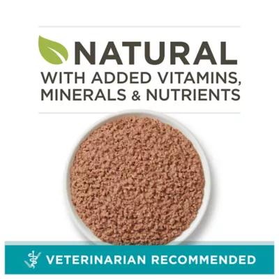 Product Purina ONE® +Plus All Life Stages Cat Wet Food - 3 oz., Natural