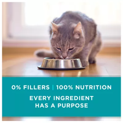 Product Purina ONE® +Plus All Life Stages Cat Wet Food - 3 oz., Natural