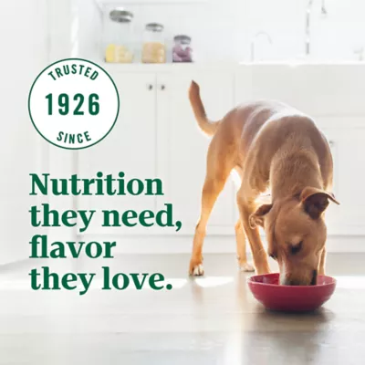 Nutro ultra dry dog food with a trio of proteins from chicken best sale