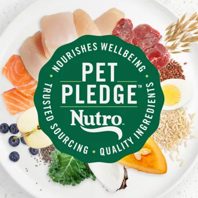 Product NUTRO ULTRA™ Senior Dry Dog Food - Chicken, Lamb, Salmon