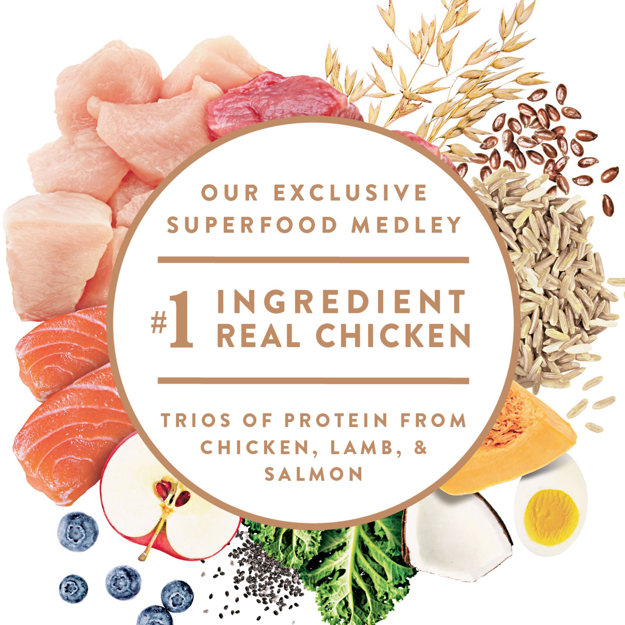 petsmart nutro ultra small breed