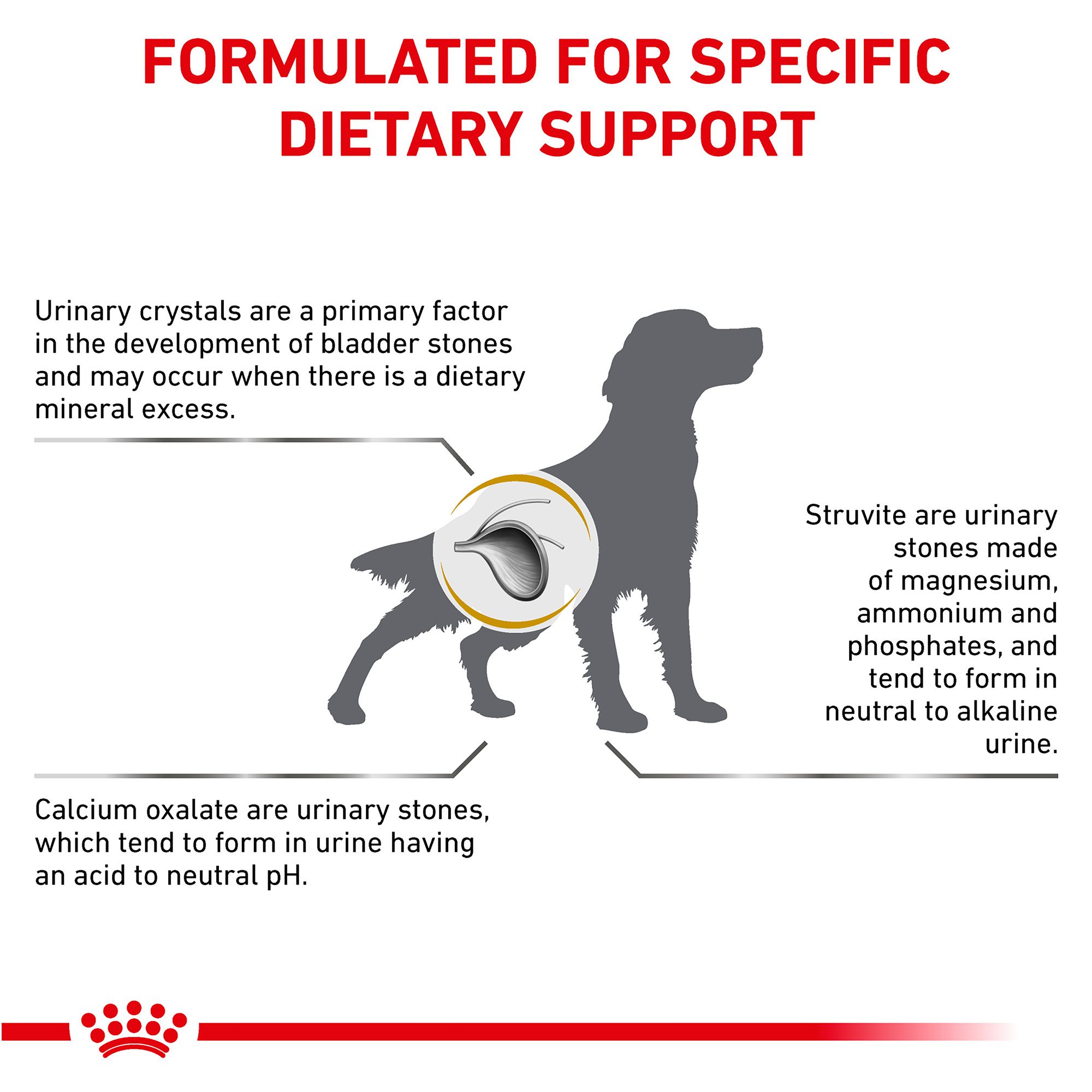 royal canin urinary tract dog food