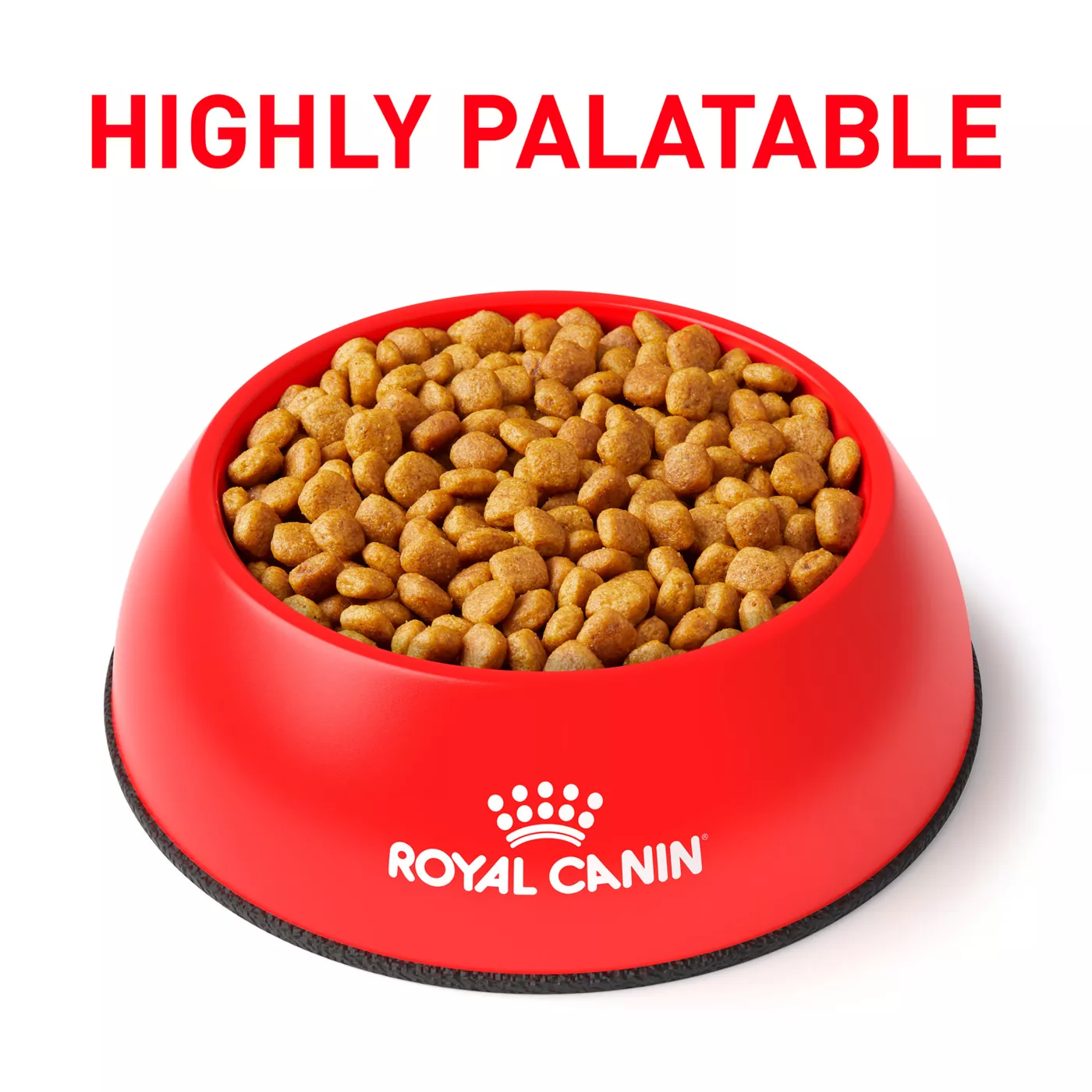 Royal canin orders pug adult dry dog food