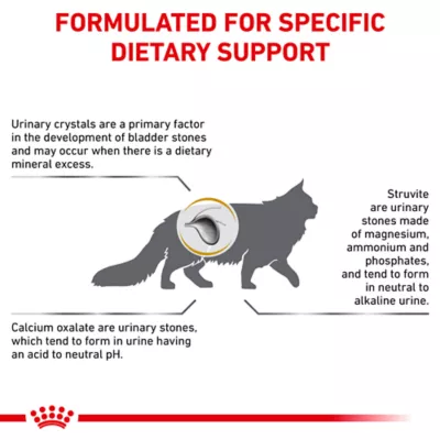 Royal Canin Veterinary Diet Feline Urinary SO Adult Dry Cat Food