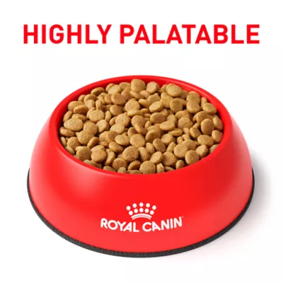 Product Royal Canin® Veterinary Diet Canine Urinary SO Small Breed Adult Dog Dry Food - 8.8 lb