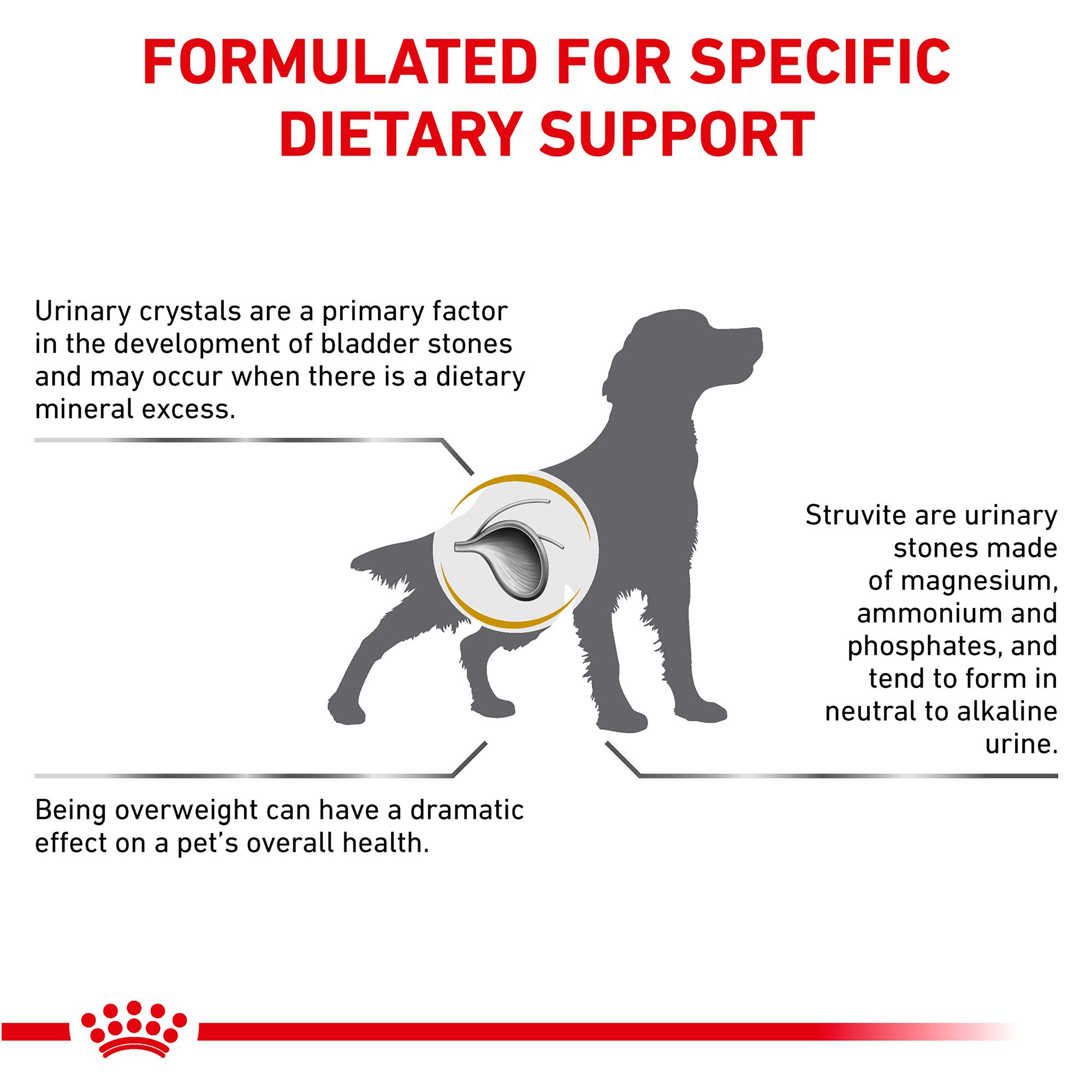 Royal Canin Veterinary Diet Urinary So Trade Moderate Calorie Dog Food Dog Veterinary Diets Petsmart