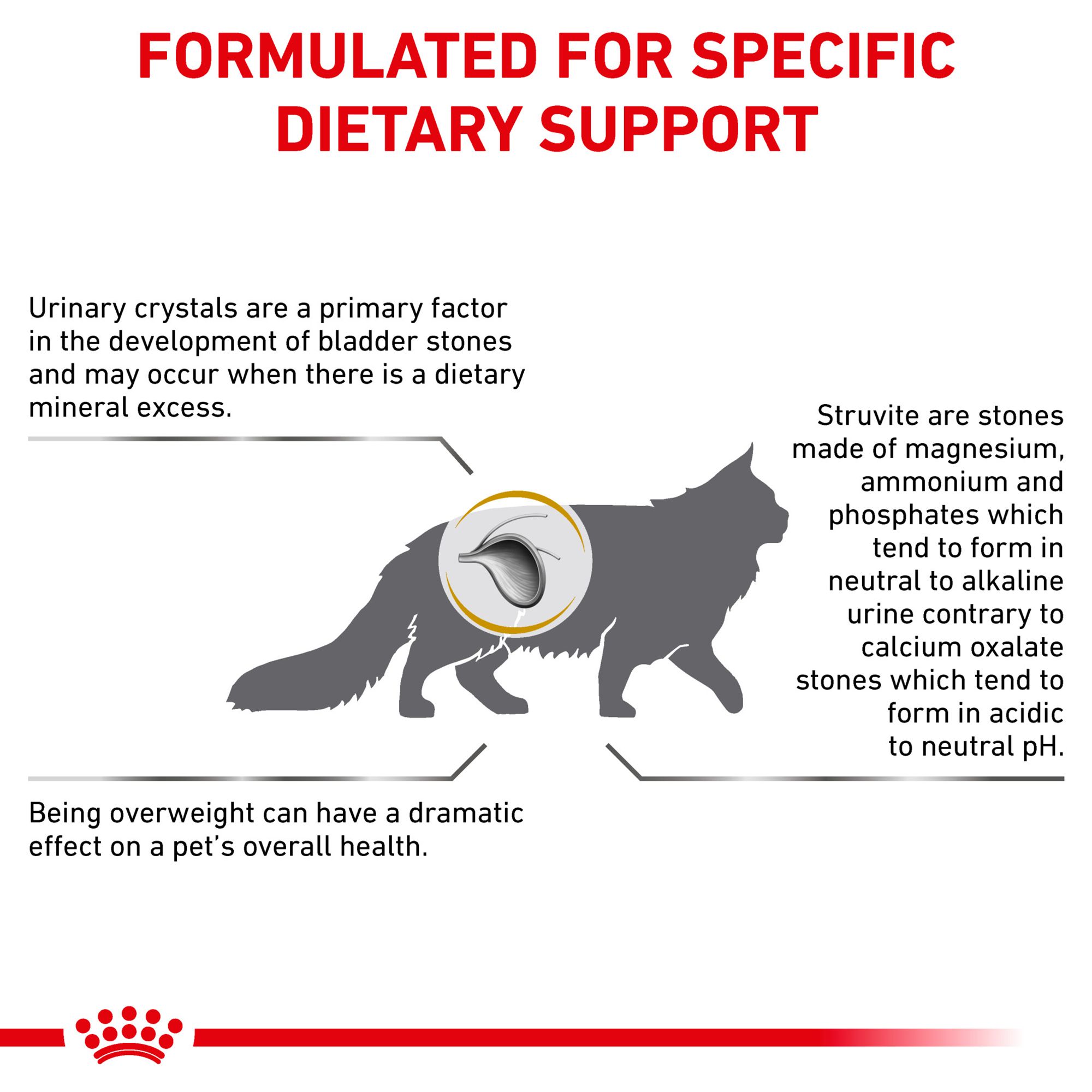 Royal Canin Veterinary Diet Urinary So Moderate Calorie Cat Food Cat Veterinary Diets Petsmart