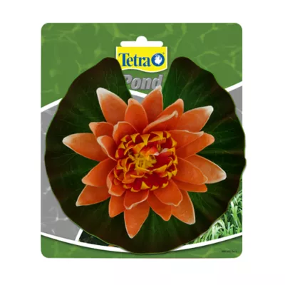 Product Tetra® Pond Decorative Water Lily