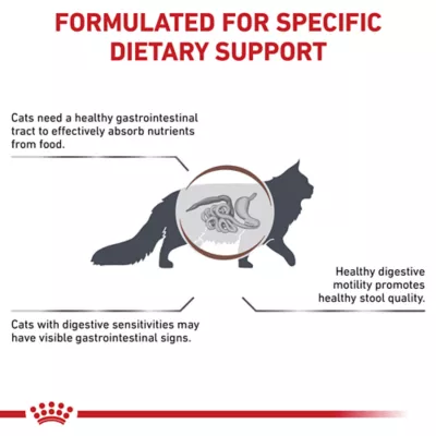 Product Royal Canin® Veterinary Diet Feline Gastrointestinal Fiber Response Adult Dry Cat Food