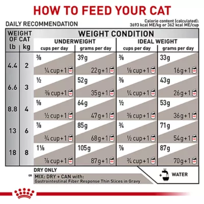 Product Royal Canin® Veterinary Diet Feline Gastrointestinal Fiber Response Adult Dry Cat Food