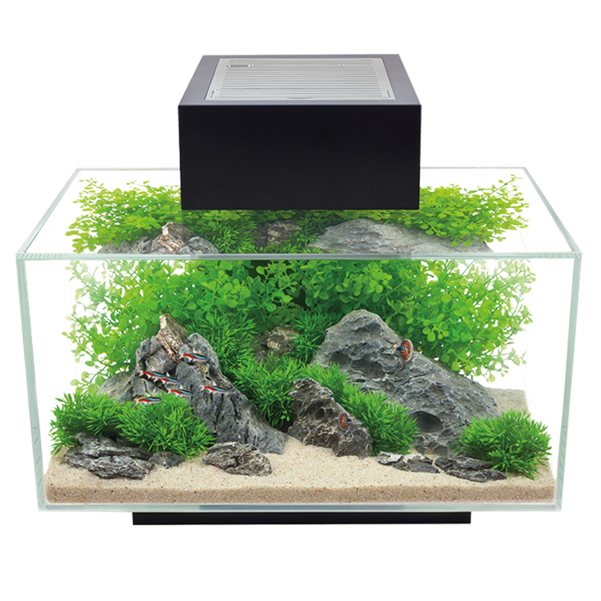 Fluval Edge 6 Gallon Aquarium Fish Starter Kits Petsmart