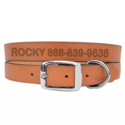 Coastal Pet Products Personalized Leather Dog Collar - Image 1