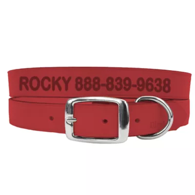 Coastal Pet Products Personalized Leather Dog Collar - Image 1