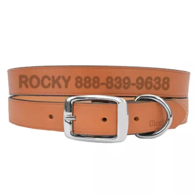 Coastal Pet Products Personalized Leather Dog Collar - Image 1